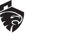Logo Forte Secur Group Treviso