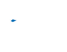 Logo footer Forte Secur Group